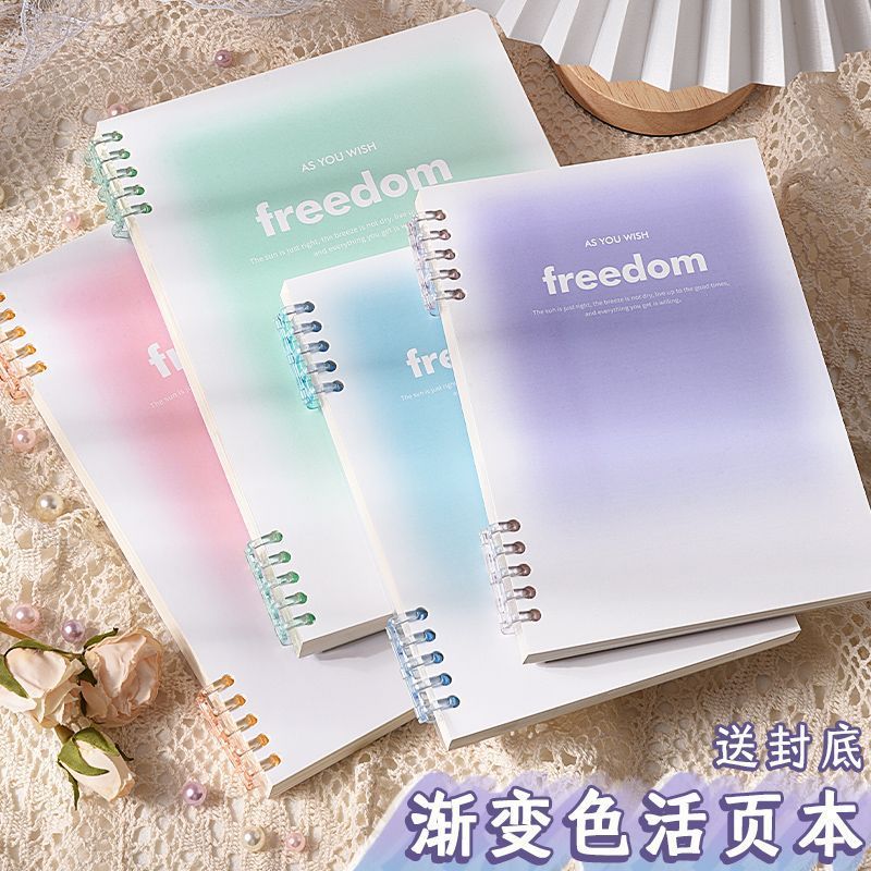 B5 Gradient Loose-Leaf Notebook - Freedom Removable Student Notepad Thick Coil Book