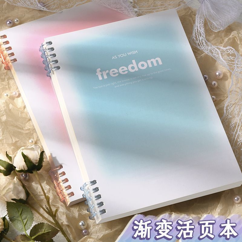 B5 Gradient Loose-Leaf Notebook - Freedom Removable Student Notepad Thick Coil Book